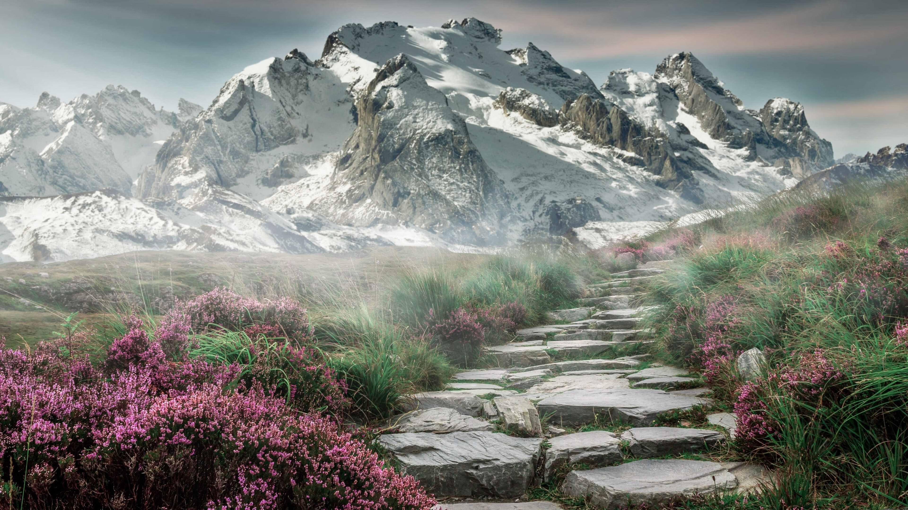 跨越技术长河，v7.2.5 稳定版发布，2026年3月8日的新里程碑